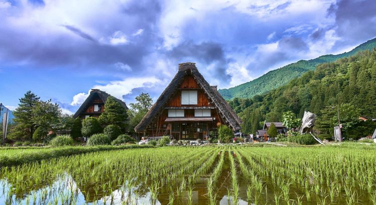 Tokyo – Hakone – Kamakura – Osaka – Kyoto – Nara – Hiroshima