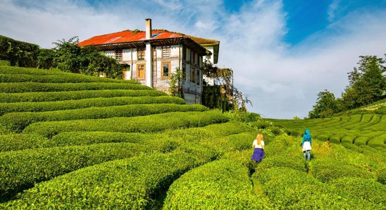 Thy İle Uçaklı Karadeniz Yaylaları ve Batum Turu