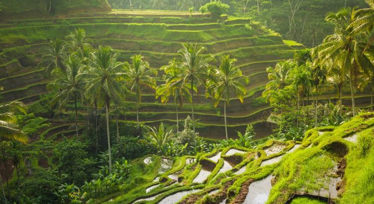 Türkmenistan Hava Yolları İle Vietnam Laos Kamboçya Tayland Turu