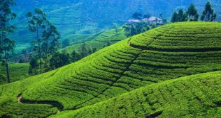 Okyanusun İncisi - Sri Lanka